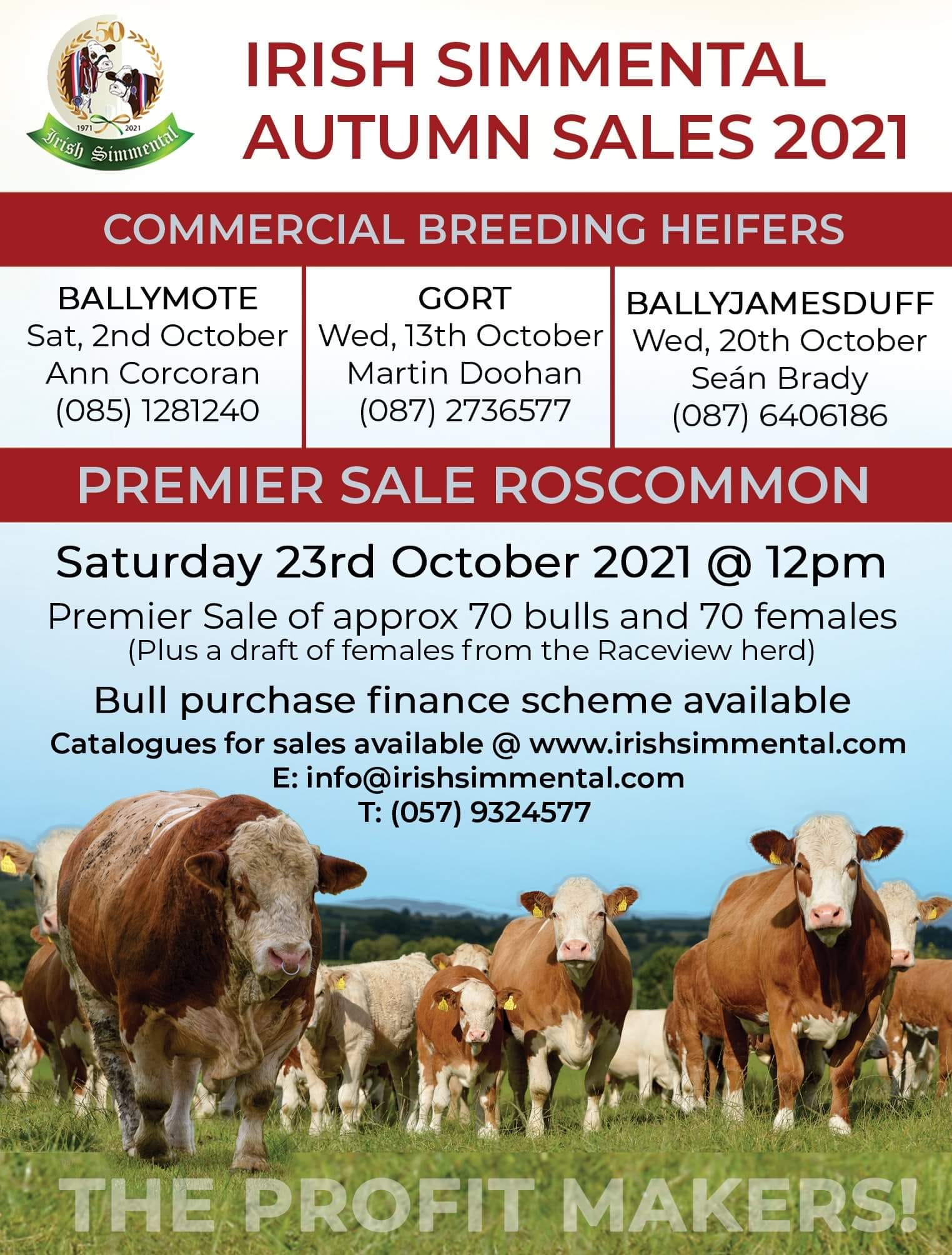 Read more about the article Autumn Sales Dates for your Diary
