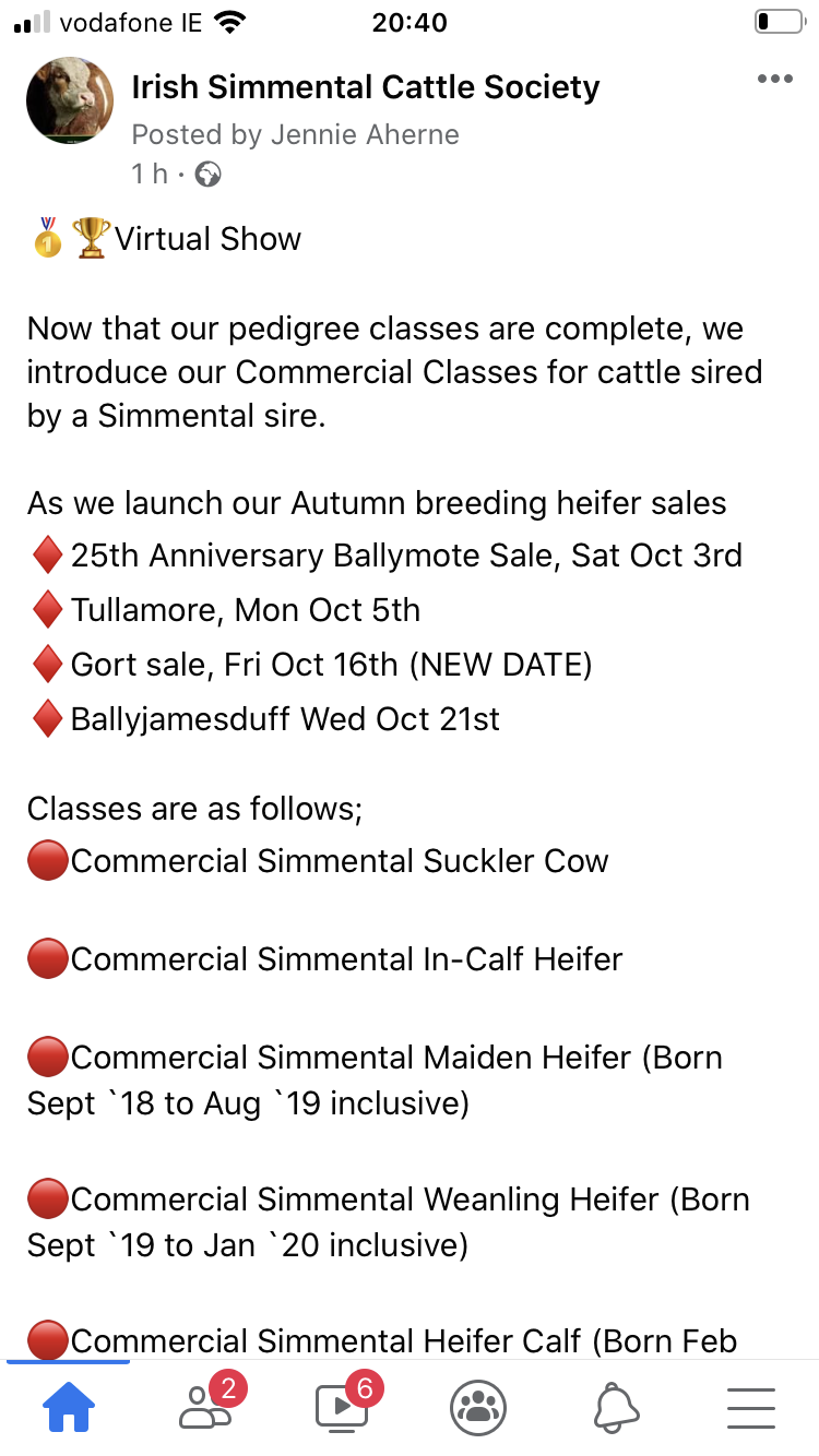 Read more about the article Virtual Show Commercial Simmental