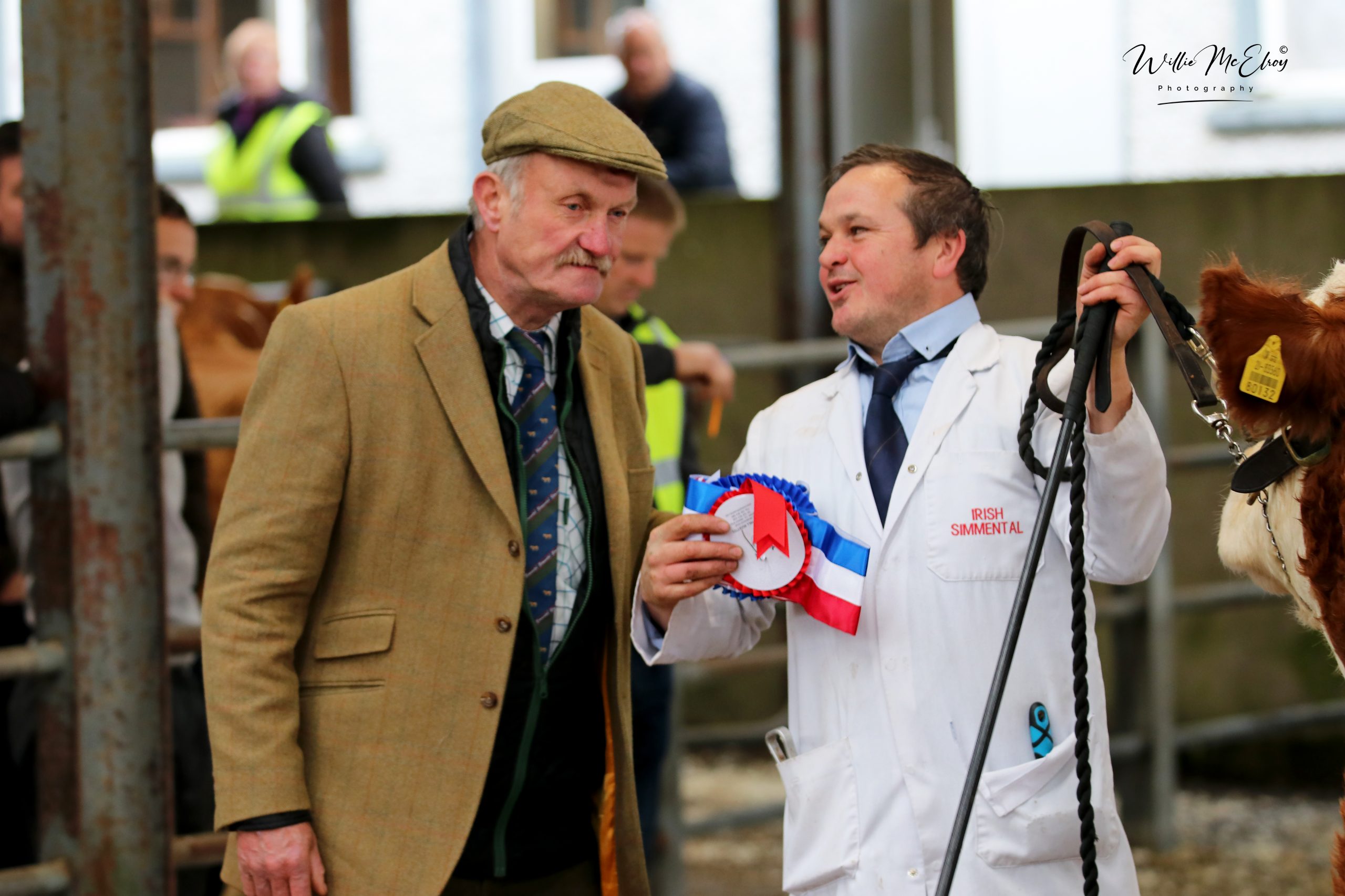 Read more about the article ***Roscommon Premier Sale Report***