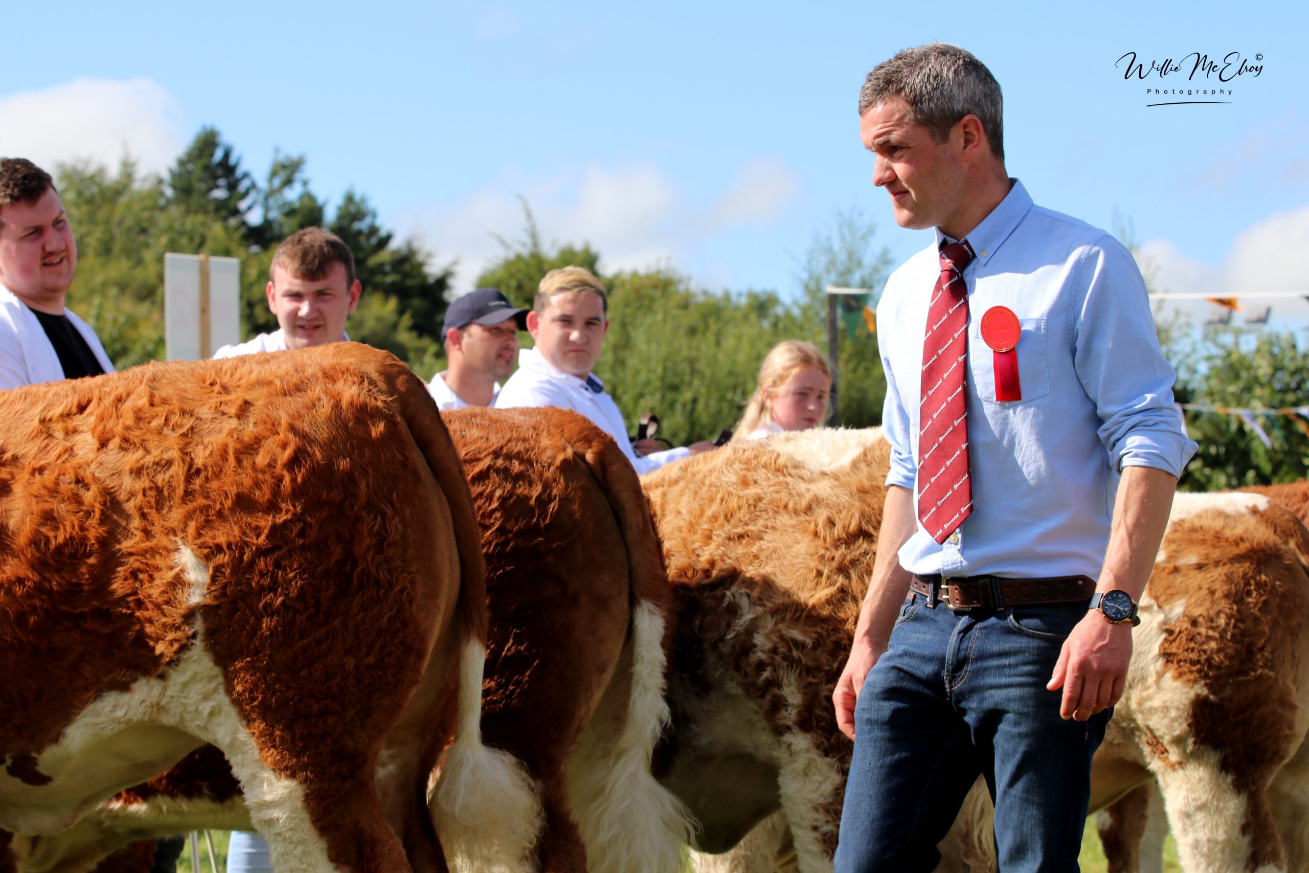 Read more about the article Strokestown Show Report 2022