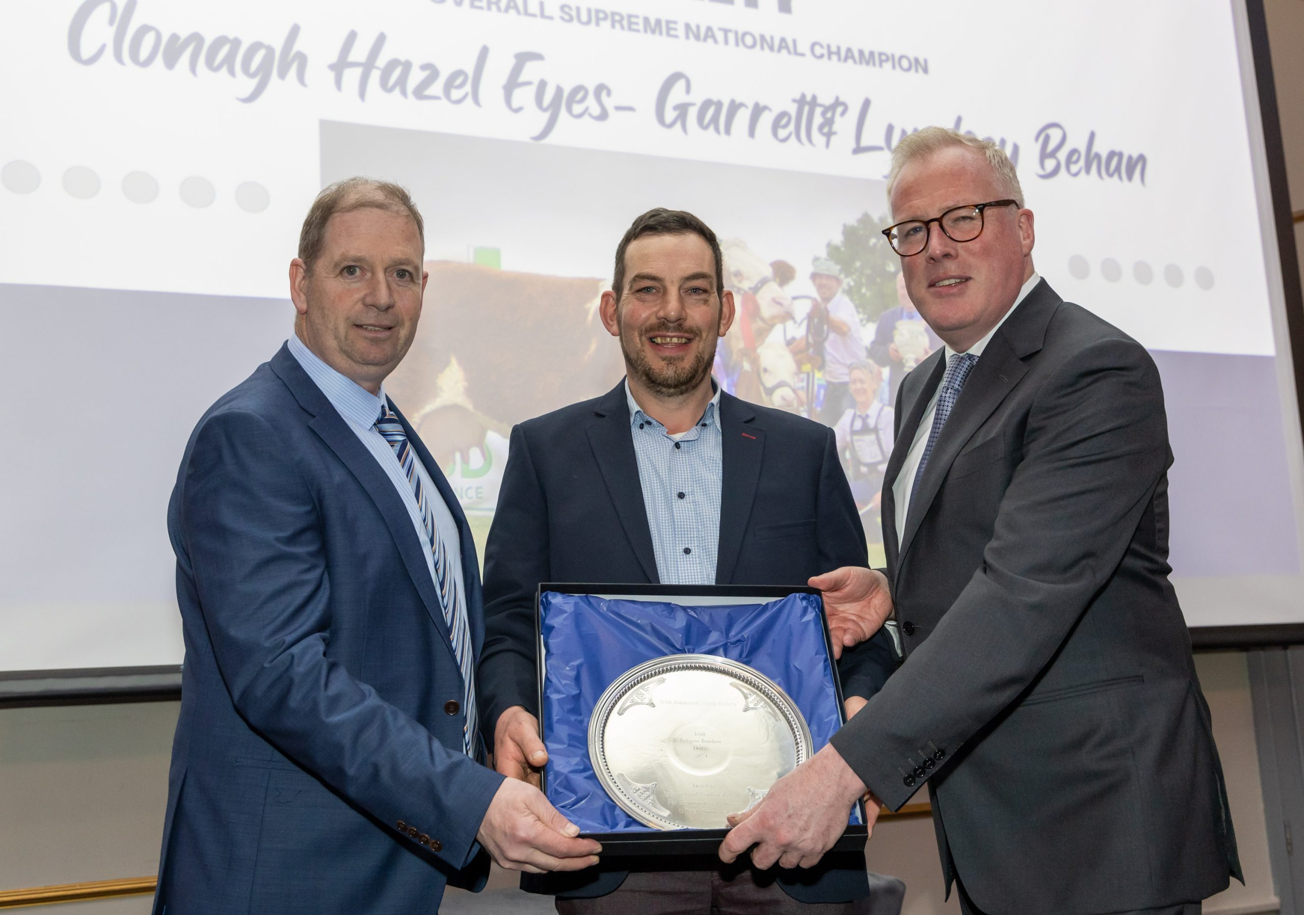 Read more about the article The Irish Pedigree Cattle Breeders Council All-Star Awards 2025