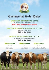 Irish Simmental A4 advert