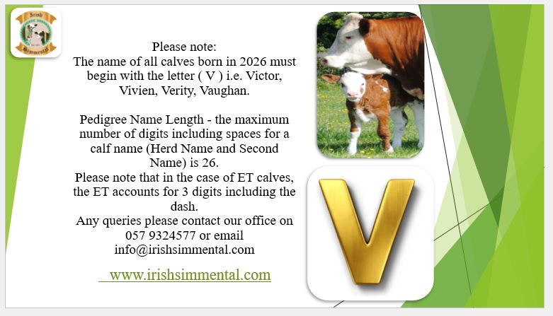 Letter For Calves born in 2026 is “V”