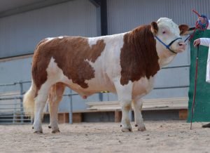 Lot 1 Bridgemount Leo