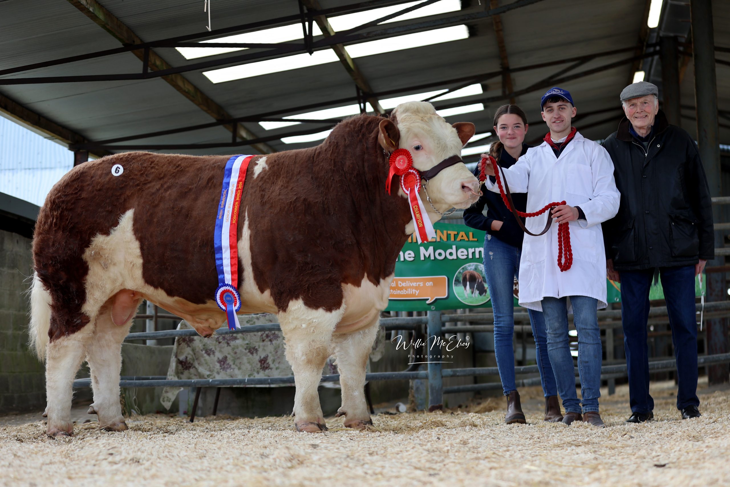 Read more about the article Spring Premier Show & Sale Report from Sat 23rd March 2024 including Photo Gallery.