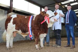 May Champion Fairymount Kicking King