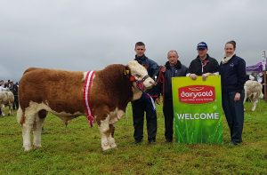 Overall Champion - Seaview Jenson - Tony O'Leary