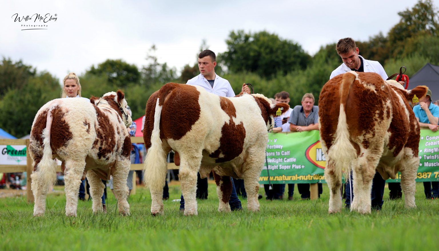 All roads lead to the Ploughing for the Dovea Genetics / Hillcrest Simmentals National Simmental Calf Finals 2025