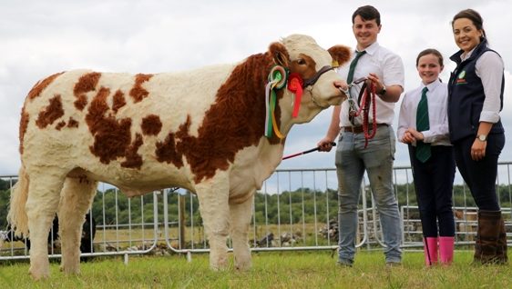 Read more about the article Riverstown Show 2019