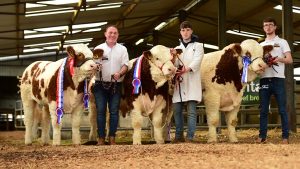 Roscommon Sale Report November 2018