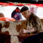 FUTURE STARS OF THE SHOWRING