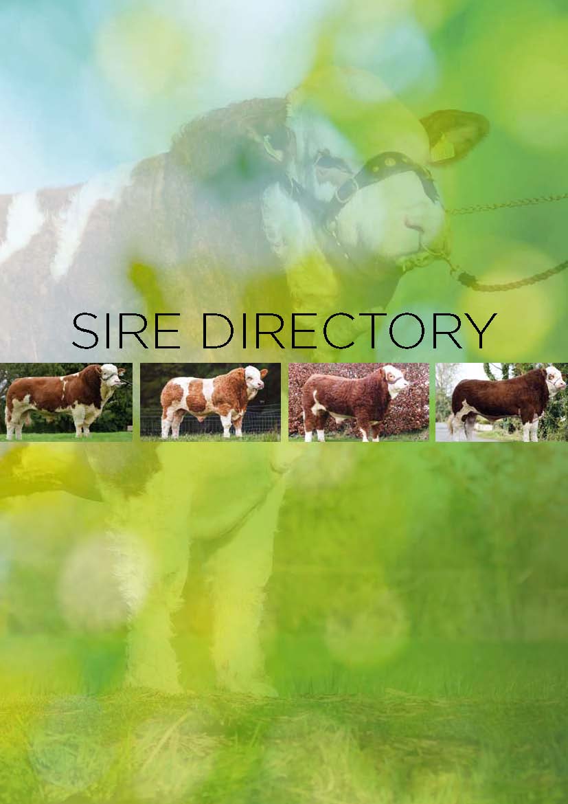 Read more about the article Sire Directory 2022
