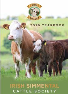 YEARBOOK 26 COVER PHOTO