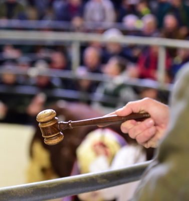 Read more about the article Tullamore Sale Entry Form & Fact Sheet for 29th April 2022