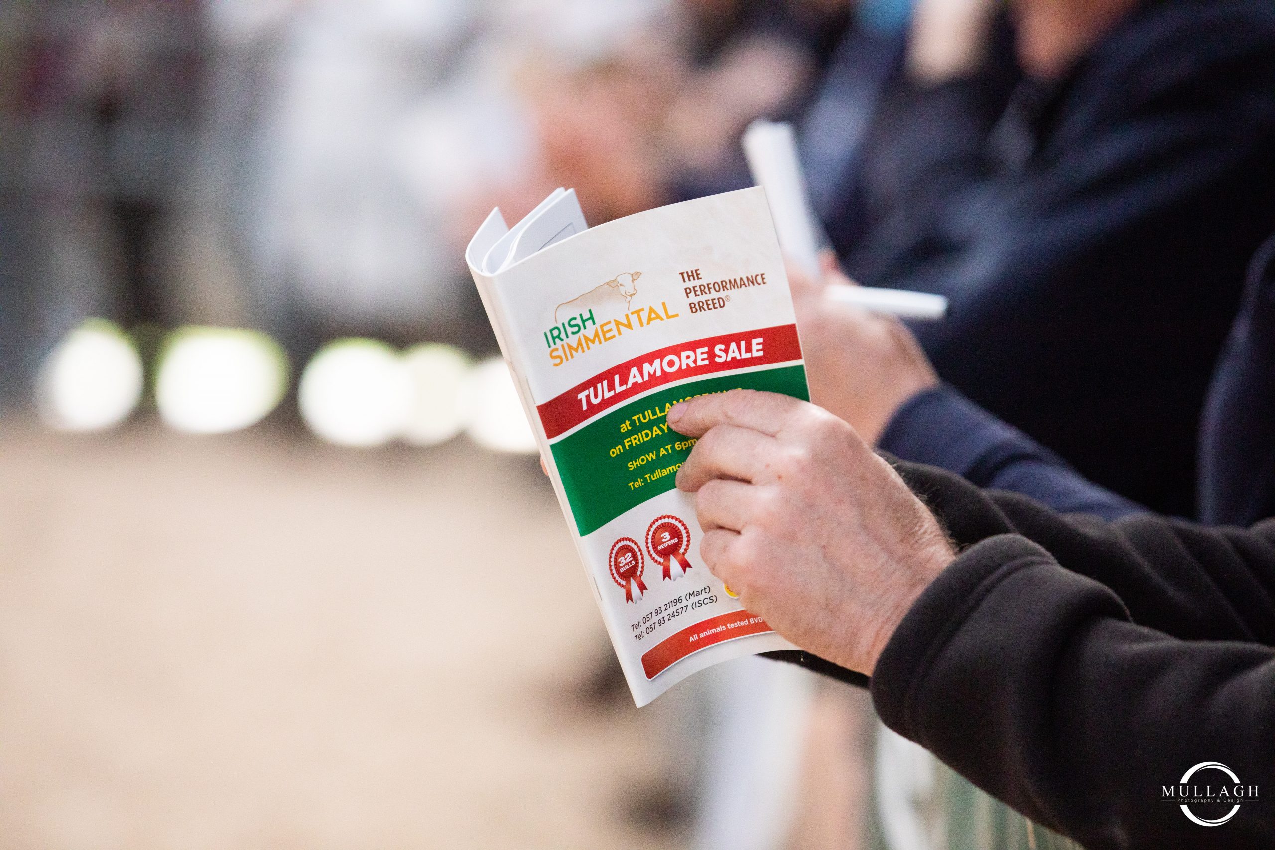 Read more about the article Report – Tullamore Sale April 29th