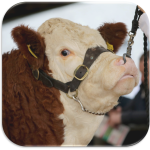 Spring Premier Show & Sale Entry Form and Fact Sheet Here